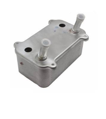 Radiator ulei motor, Termoflot Porsche Cayenne 2002-2010, 112x203x85mm, RapidAuto 5820L8-2 foto