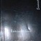 INTRODUCERE IN POEZIA LUI PAUL TUTUNGIU