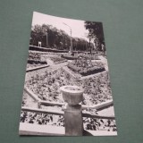 CARTE POSTALA -FAGET -VEDERE DIN PARC NECIRCULATA