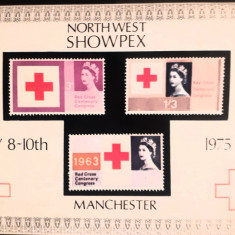 Crucea Rosie 1975, Crucea Rosie congres, bloc nedantelat . Nestampilata