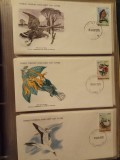 FAUNA WWF - 3 PLICURI PRIMA ZI