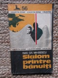 SLALOM PRINTRE BANUITI-DAN GR. MIHAESCU