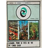 Legume, pomi si vita de vie pe langa casa - 1976 - T. Groza (XE83)