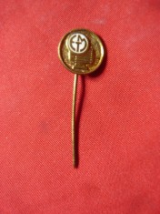 Insigna veche Electromotor Timisoara , metal si email , d= 1,2cm