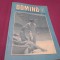 REVISTA DOMINO - 3 1985 NOU NICI UN REBUS CPMPLETAT
