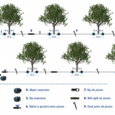 Kit irigare livada pomi fructiferi (irigare pe pamant)