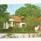 CA19 -Carte Postala- Calacea, Judetul Timis ,circulata 1981