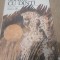 Carte 1112 SOARE CU DINTI