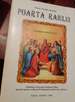POARTA RAIULUI foto