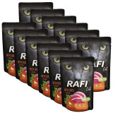 Cumpara ieftin Rafi Cat Adult Pat&eacute; with Duck 12 x 100 g