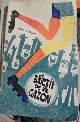 Baietii de pe gazon - Petre Dragomir foto