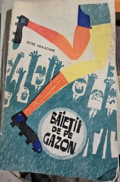Baietii de pe gazon - Petre Dragomir
