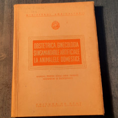 Obstetrica ginecologia si insamantarile artificiale la animalele domestice