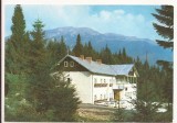 Carte Postala veche - Sinaia - Cabana Cuibul Dorului , necirculata