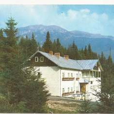 Carte Postala veche - Sinaia - Cabana Cuibul Dorului , necirculata