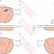 Set placute frana,frana disc FORD FOCUS Combi (DNW) (1999 - 2007) TRW GDB1532
