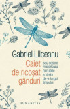 Caiet de ricosat ganduri sau despre misterioasa circulație a ideilor de-a lungul timpului &ndash; Gabriel Liiceanu