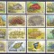DB1 Fauna Marina Pesti Crustacee Moluste 1985 Barbados 16 v. MNH
