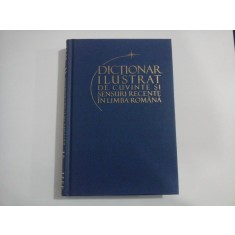 DICTIONAR ILUSTRAT DE CUVINTE SI SENSURI RECENTE IN LIMBA ROMANA - Elena DANILA / Andrei DANILA