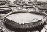 QW24 C - Carte postala - tematica turism - vedere - Cluj Napoca 52, Circulata, Fotografie