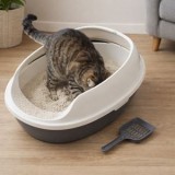 Litieră pentru pisici cu tavă sită, 53x39x20 cm, alb și gri, CMCLASS