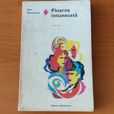 John Galsworthy - Floarea întunecată