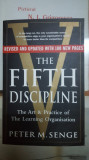 Senge The Fifth discipline, The art &amp; Practice of The learning Organisation 040