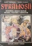 Stramosii, vol. 1. Burebista - Regele dacilor - Radu Theodoru, Sandu Florea