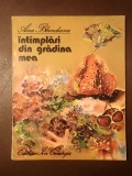 Ana Blandiana - &Icirc;nt&acirc;mplări din grădina mea (ilustrații: Doina Botez; 1980)
