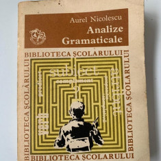 Analize gramaticale Aurel Nicolescu