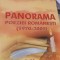PANORAMA POEZIEI ROMANESTI (1970-2005) HORIA TARU VOL 5