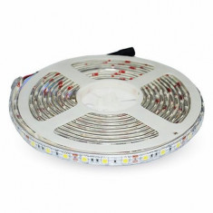 BANDA LED SMD5050 30LED/M 6000K IP65 5M foto