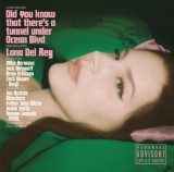 Did You Know That There&#039;s A Tunnel Under Ocean Blvd | Lana Del Rey