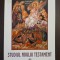 STUDIUL NOULUI TESTAMENT - PREOTUL PROFESOR IOAN CONSTANTINESCU