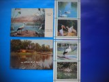 HOPCT LOT NR 389 PASARI DE APA -FAUNA-4 CARTI POSTALE-NECIRCULATE, Circulata, Printata