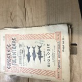 B. Cunostinte folositoare Principii de Biologie