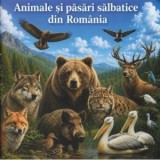 Animale si pasari salbatice din Romania. Minienciclopedie pentru copii - Ionescu Andreea-Alexandra