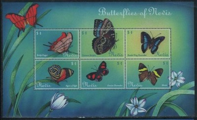 NEVIS 2000 FAUNA INSECTE FLUTURI foto