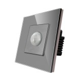 Cumpara ieftin Senzor de miscare PIR Luxion cu rama din sticla gri pentru iluminare automata
