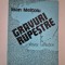 Ioan Meitoiu Gravuri rupestre Versuri Carte cu autograf