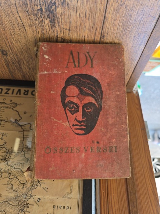 &Ouml;sszes versei - Ady Endre