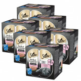 Cumpara ieftin Sheba Perfect Portions cu somon pentru pisici adulte 6 x (3 x 75 g)