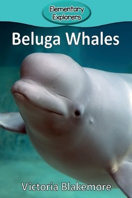 Beluga Whales foto