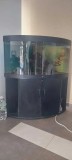 Acvariu Juwel Trigon 350