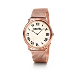Ceas Dama, Folli Follie, WF16R WF16R014BPS - Marime universala
