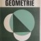 Edwin E. Moise, Floyd L. Downs Jr. - Geometrie