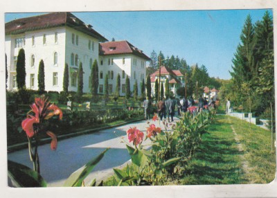 bnk cp Olanesti - Vedere - circulata foto