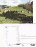 Piatra Neamt - Cetatea Petrodava