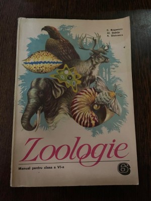 Al. Dabija C. Bogoescu Zoologie manual pentru clasa a VI-a foto