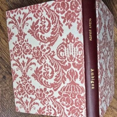 Ambigen - Octav Sulutiu foto